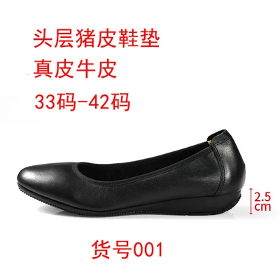 Black 001 (heel height 2.5cm)