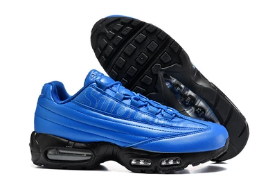 95 blue (image)