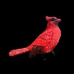 Red bird