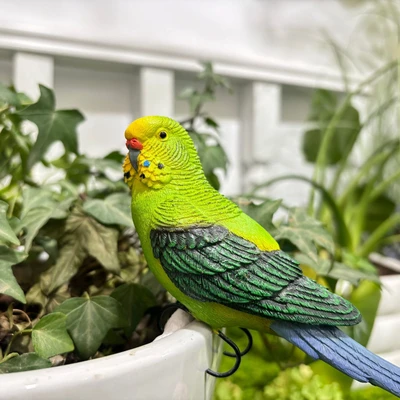 Parakeet