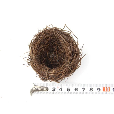 6cm Bird's Nest