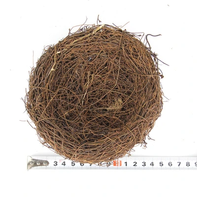 15cm Bird's Nest
