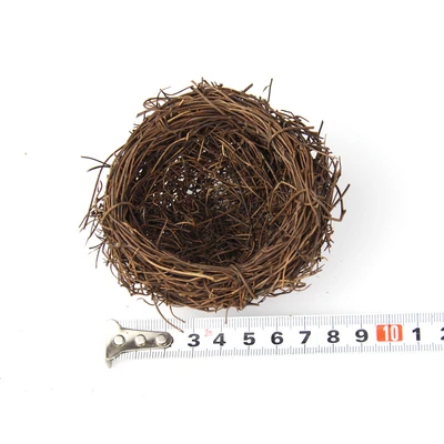 8cm Bird's Nest