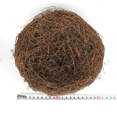 20cm Bird's Nest