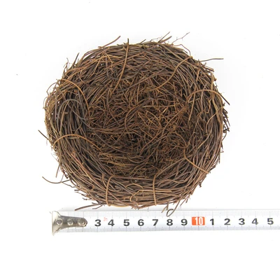 12cm Bird's Nest