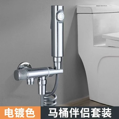 F1 ---- silver toilet companion set