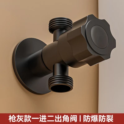 Gun gray one in and two out angle valve