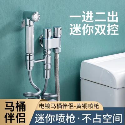 A2 Brass Silver Brass Toilet Mate Set All Copper Spray Gun