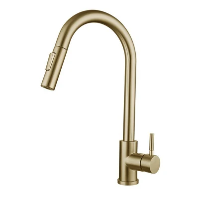 【304】brushed gold-with water inlet pipe