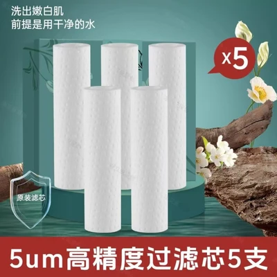 【sa-02】lai spray five-pack filter element