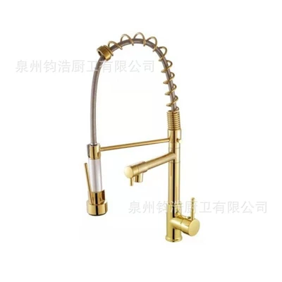 (customized) titanium gold [spring dual-purpose] kitchen faucet