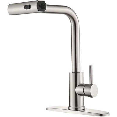 201 brushed raindance pull-out faucet