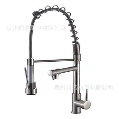 Brushed finish [spring-loaded dual-use] kitchen faucet