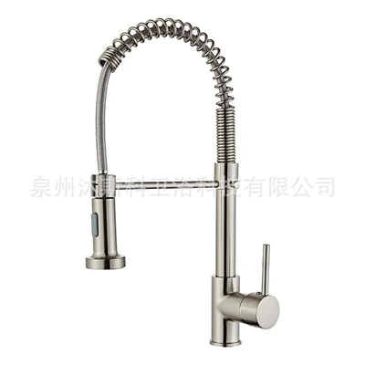 [single function] brushed spring faucet