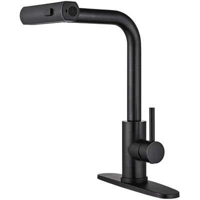 201 black raindance pull-out faucet