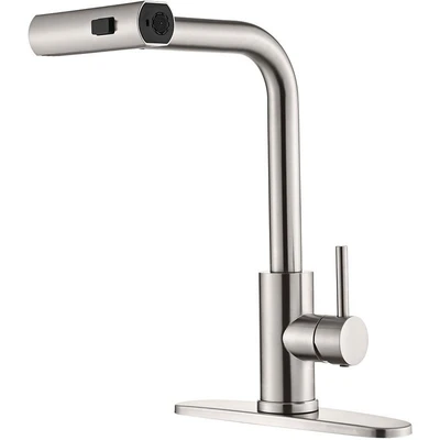 304 brushed raindance pull-out faucet
