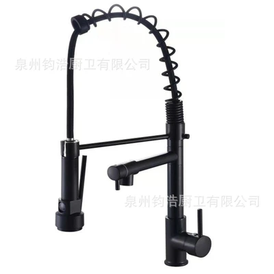 Elegant black [spring-loaded dual-use] kitchen faucet