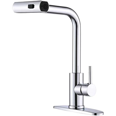 304 electroplated raindance pull-out faucet