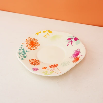 In spring-plate