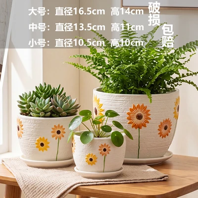 Rainbow sunflower flowerpot 3-piece set