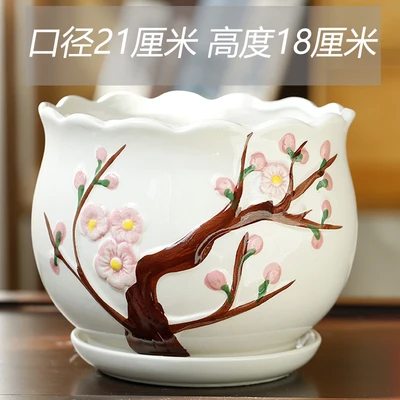 Single extra large peach blossom