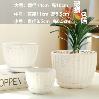 Bai Li Tu Hong 3-piece set
