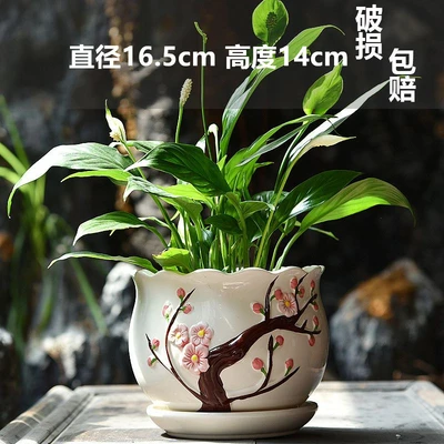 Single large peach blossom