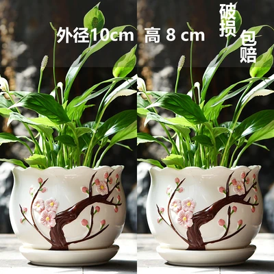 Two small size peach blossoms
