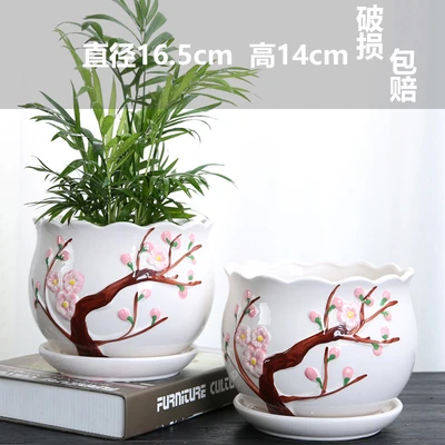 Two large peach blossoms