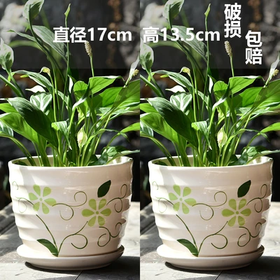 Special offer two large spring