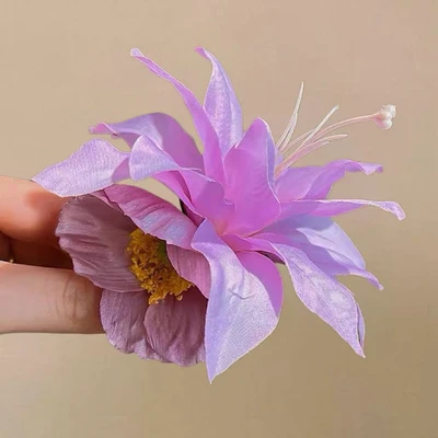 Purple lily beauty