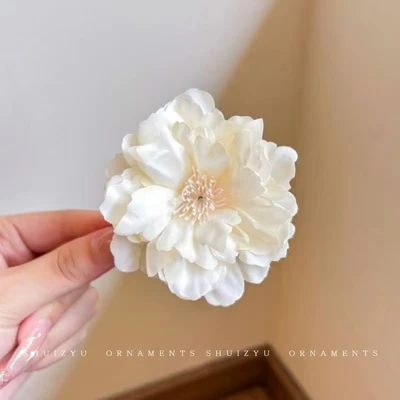 Champagne camellia