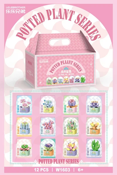 W1603 succulent potted square pots complete set of twelve boxes