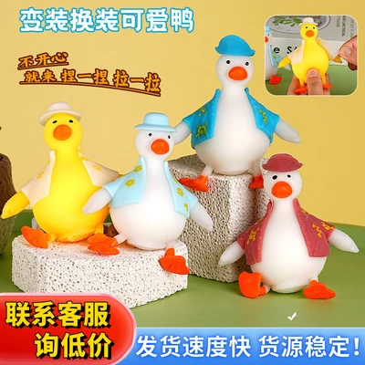 Pirate duck costume (color random)