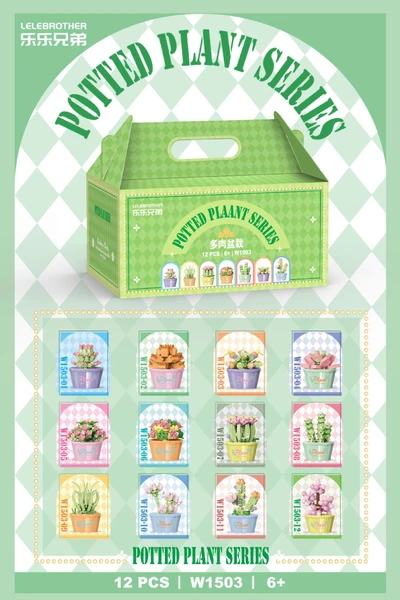 W1503 a complete set of twelve succulent potted plants