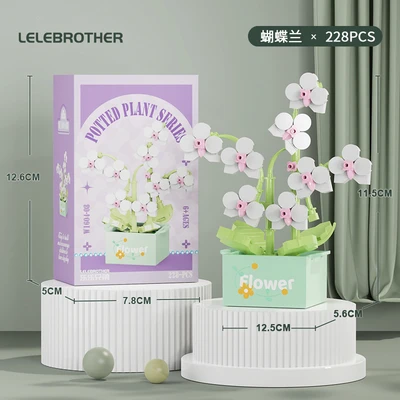 W1604-08 phalaenopsis 228pcs