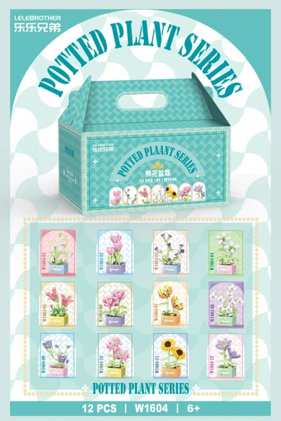 W1604 flower potted square pot complete set of twelve boxes