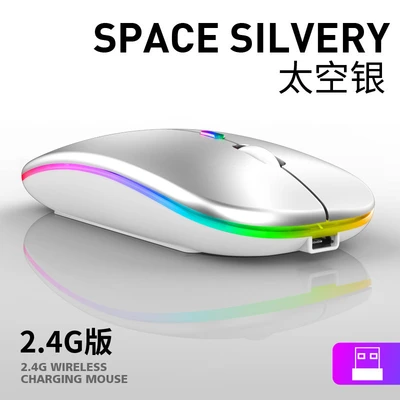 Space silver/2.4g wireless version [silent button + rechargeable + luminous]