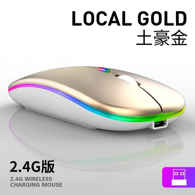 Gold/2.4g wireless version [silent click + rechargeable + illuminated]