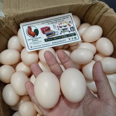 বাদামি