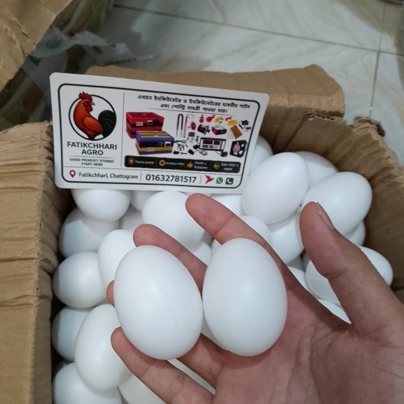 মুরগির প্লাস্টিকের নকল ডিম