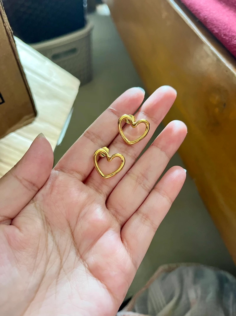 Stainless Steel - Earrings ✨