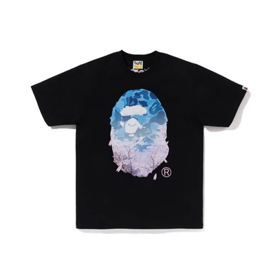 799 # Black