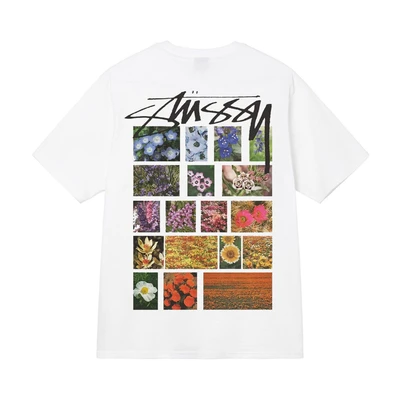 White [Flowers and Grasses]