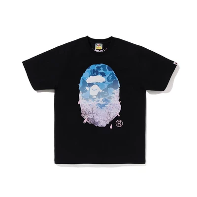 799 black