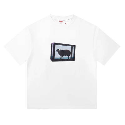 2041 white