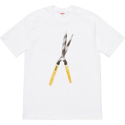 386-white