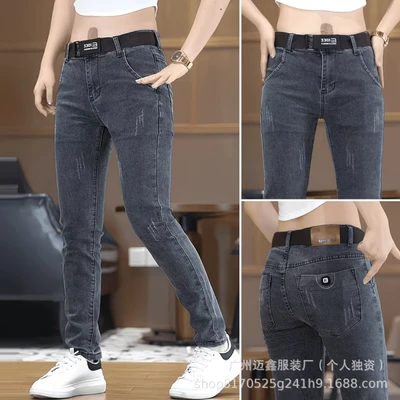 2061 gray
