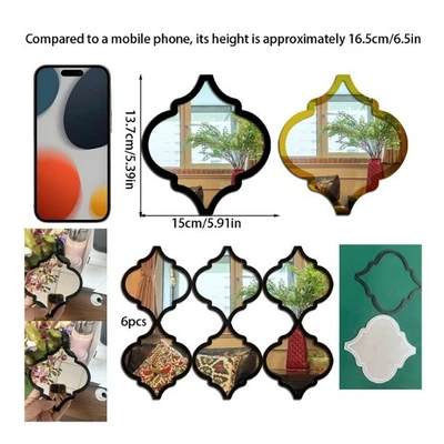 Black frame silver mirror