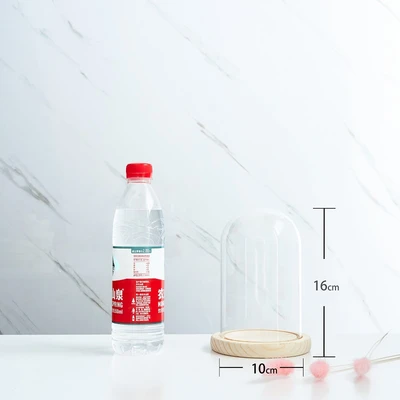 10*16 glass cover wood base